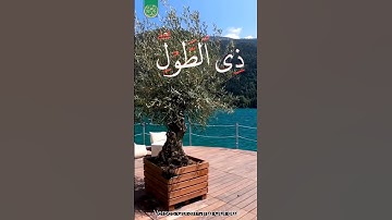 ماتيسر من سورة غافر | القارئ محمد الفقيه