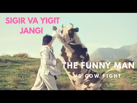 The Funny Man vs  Cow Fight HQ| Sigir va Yigit jangi