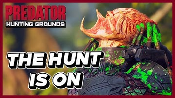 WHEN PREDATOR BECOMES PREY | Predator: Hunting Grounds