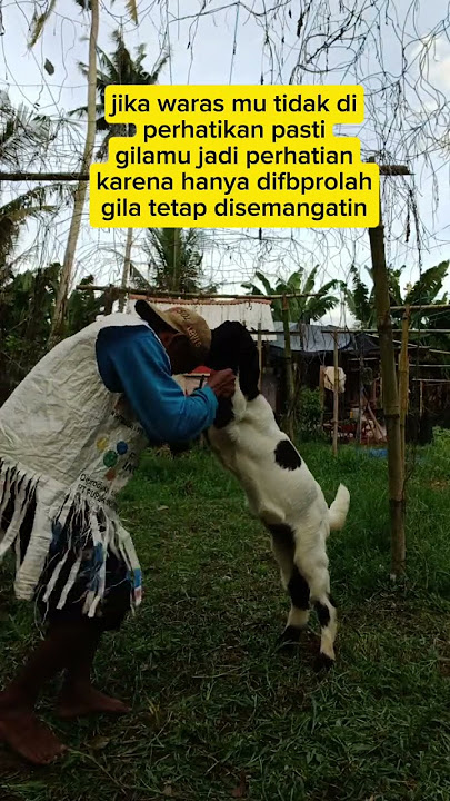 cuma ada disini orang gila disemangatin