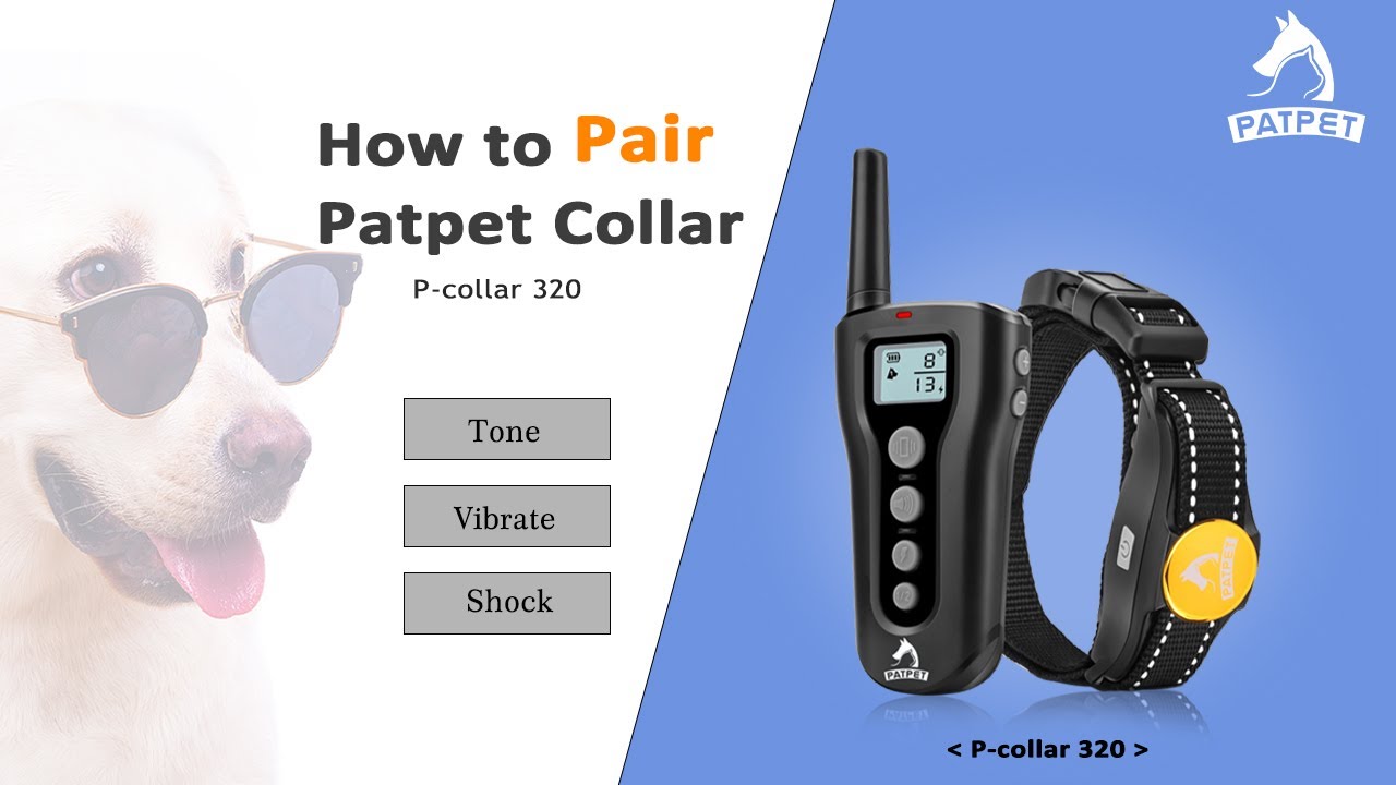 Pair the Dog Training Collar | Patpet 320 - YouTube