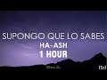 1 hour haash  supongo que lo sabes letra