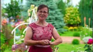 ❤️✨💥Svetlana Titica - Locul unde m-am născut |  2024 💥✨❤️