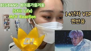 BIGBANG - 봄여름가을겨울(Still Life) M/V reaction 14년차 VIP 찐반응 | 눈물의 리액션