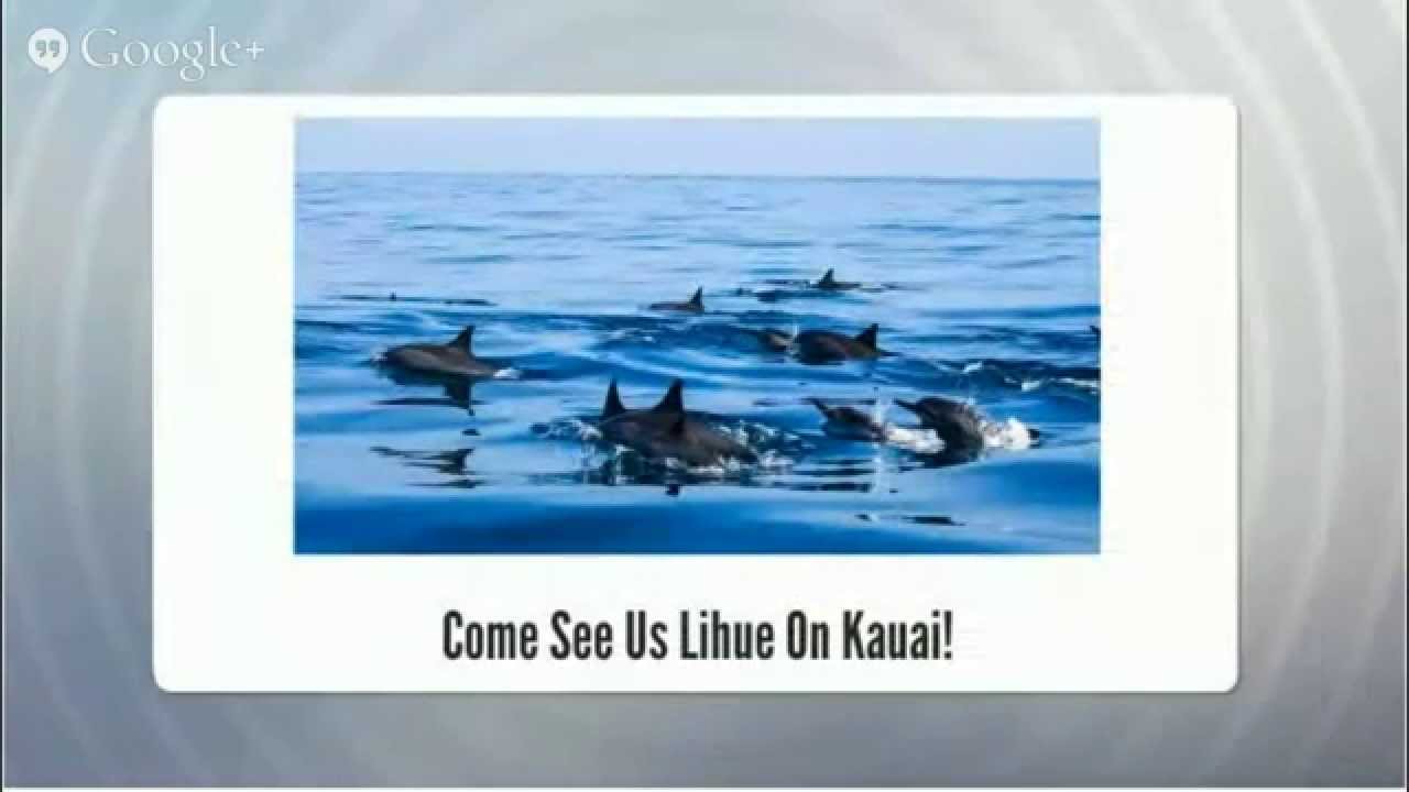 rental car at lihue airport Lihue Rental Cars rental car at lihue