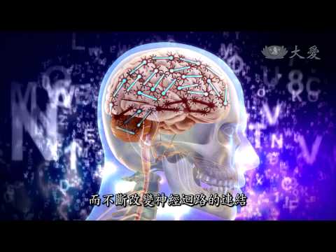 【發現】精華影片 - 20131207 - 人體奧秘系列 - 大腦地圖
