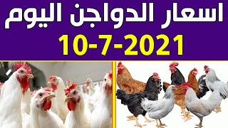 اسعار الدواجن اليوم السبت 10-7-20201 في بورصة الدواجن في مصر