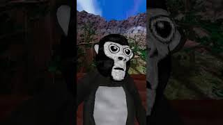 Is this the WORST or BEST vr update #gorillatag #whydidntmyexcomeback #beeb