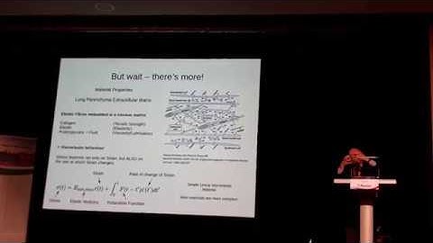 LectureTomBarnes SMART Meeting 11012019