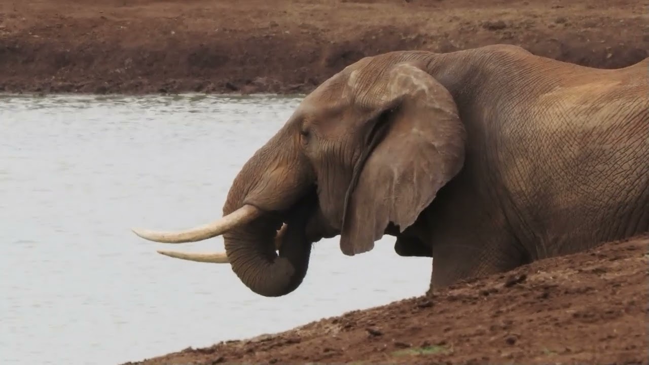 PARKI NARODOWE KENII 1