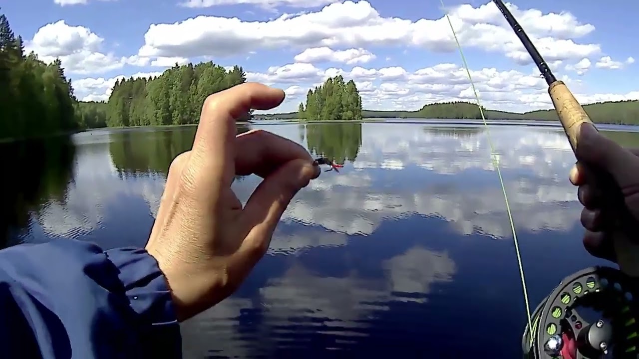 Карелия. Нахлыст. Несмотря ни на что...