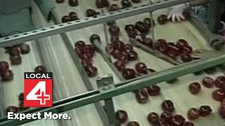 Here's what to expect from apple-picking season in Michigan