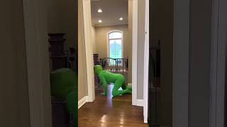 Frog Attacks Toddler Toddler Gets Even