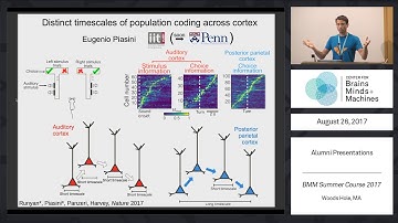 Distinct Timescales of Population Coding Across Cortex