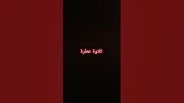 تلاوة عطرة #القرآن_الكريم #راحة_نفسية #صلوا_على_النبي