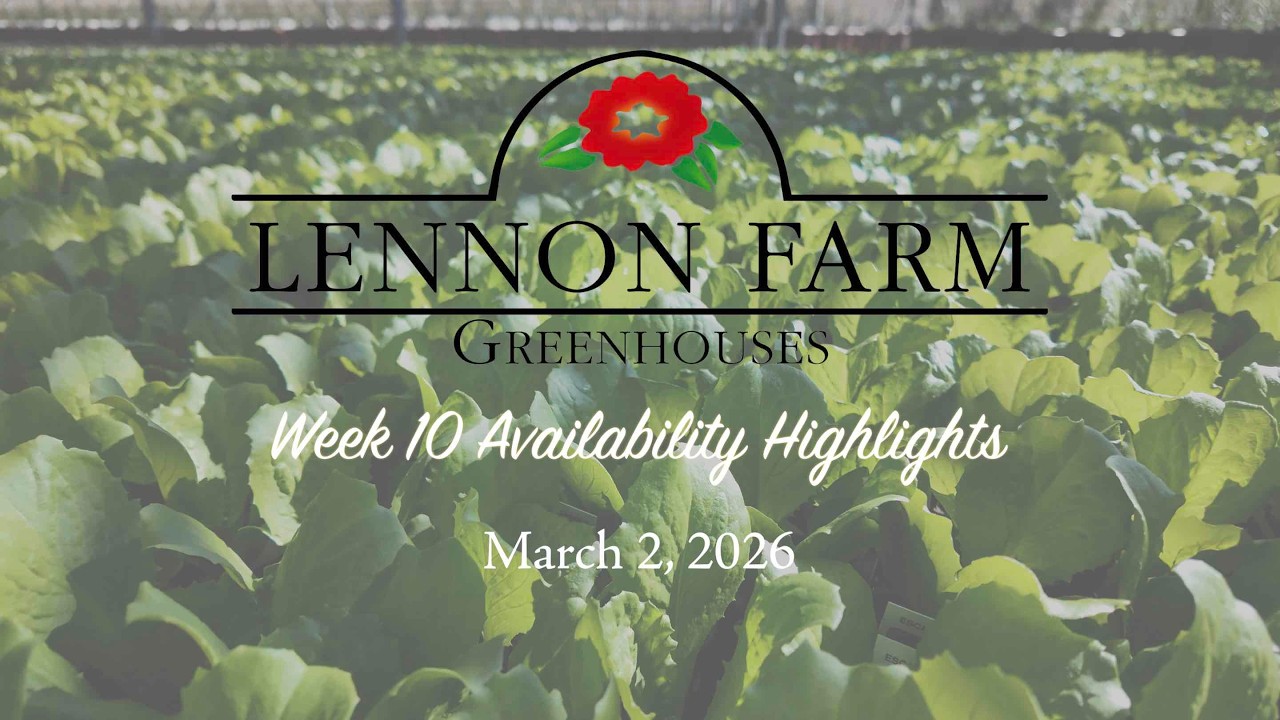 Availability Highlights: Mar 2, 2026