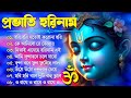 Horinam Bangla Gaan | Hare Krishna Kirton Song | হরিনামের হিট গান | Bengali KIrton Song 2024 Mp3 Song