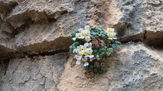 Vía Ferrata Les Marujes K3