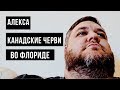 ОСТОРОЖНО ФЛОРИДА! Вранье АЛЕКСЫ. НОЧНЫЕ Канадские черви!