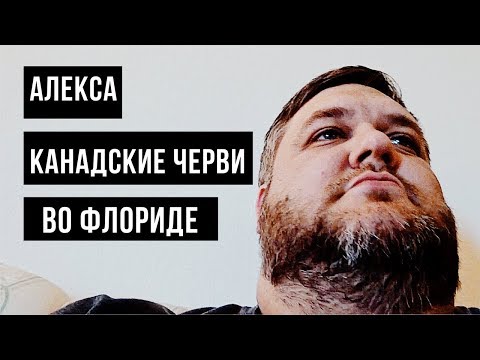 Видео: Есть ли во Флориде черви?