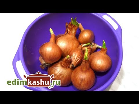 Что делать с проросшим репчатым луком? Полезные советы/ Кухонные лайфхаки