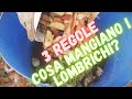 COMPOST ep.3 | 3 REGOLE PER OTTENERE UN MIGLIOR LOMBRICOMPOST