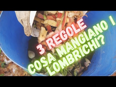 COMPOST ep.3 | 3 REGOLE PER OTTENERE UN MIGLIOR LOMBRICOMPOST