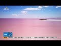 Україна вражає: Розовое озеро