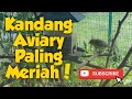 Kandang koloni PALING MERIAH, banyak jenis burung ternak bersama Part 21