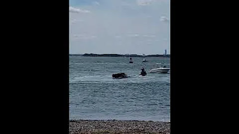 Witness Footage Barbara Lynn Kalb Hull, Gut Hull Massachusetts