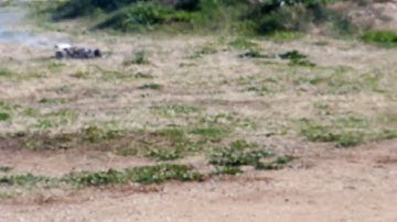 Xray XB8 Remote Control Nitro Buggy Big jump 2