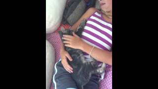 IMG 4489