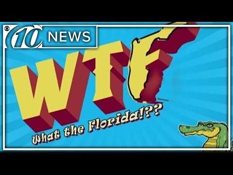 top-'what-the-florida'-stories-of-2019