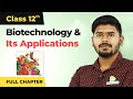 Biotechnology and Its Applications Full Chapter Explanation | Class 12 Biology Chapter 12