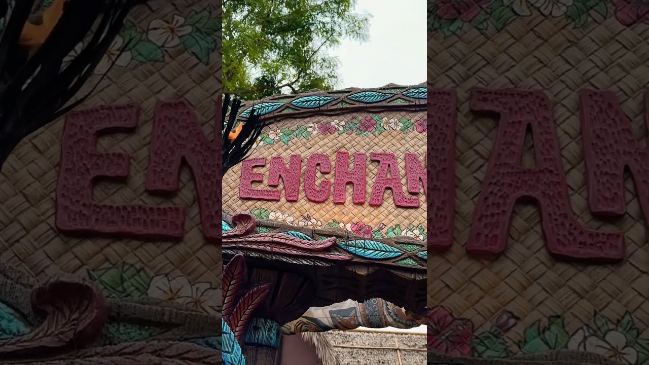  Enchanted Tiki Room At Disneyland TikiRoom DisneylandShows DisneyMagic