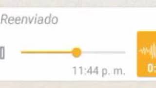 Audio de grupos de whatsApp screenshot 4