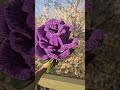 a big rose