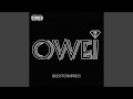 Owei mp3