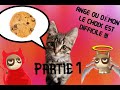 Je vous prsente mon chat  partie 1