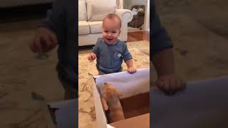 La reacción de un bebé al abrir una caja y ver a un cachorro