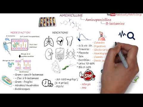 Vidéo: Amoxicillin EXPRESS - Instructions Pour L'utilisation Des Comprimés, Prix, Avis