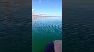 bahia de kino sonora