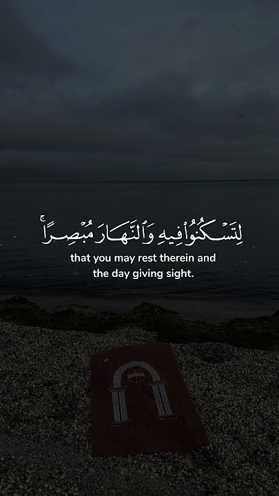 Quran e Kareem | Quran Recitation #quranictranslation #islam