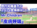 野村祐輔選手・2019登場曲「皮膚呼吸」Mr.Children/2019年4月10日カープvs.ヤクルト