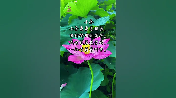 小暑至，蓮荷香，夏日炎，蟬鳴響…… #原創詩詞 #二十四節気 - 天天要聞