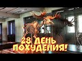 ДВАДЦАТЬ ВОСЬМОЙ ДЕНЬ! ХУДЕЮ ПО СВОЕЙ СИСТЕМЕ