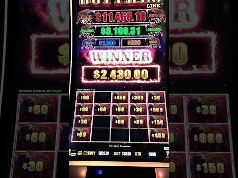 Big Numbers Attract BIG NUMBERS on a $30/Bet Buffalo Link!