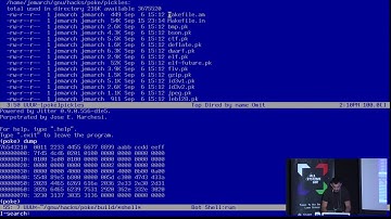 GNU poke, an extensible editor for structured binary data