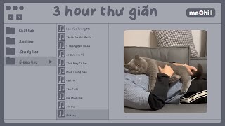 [playlist speed up] 3 tiếng thư giãn và chữa lành 🍂 | Con Mèo Béo