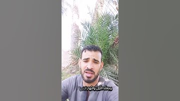 القرآن الكريم: ربيع القلوب وشفاء النفوس." #الرحمن #اكسبلور #duet #دويتو #قرآن #قران_كريم #قصص #لايك